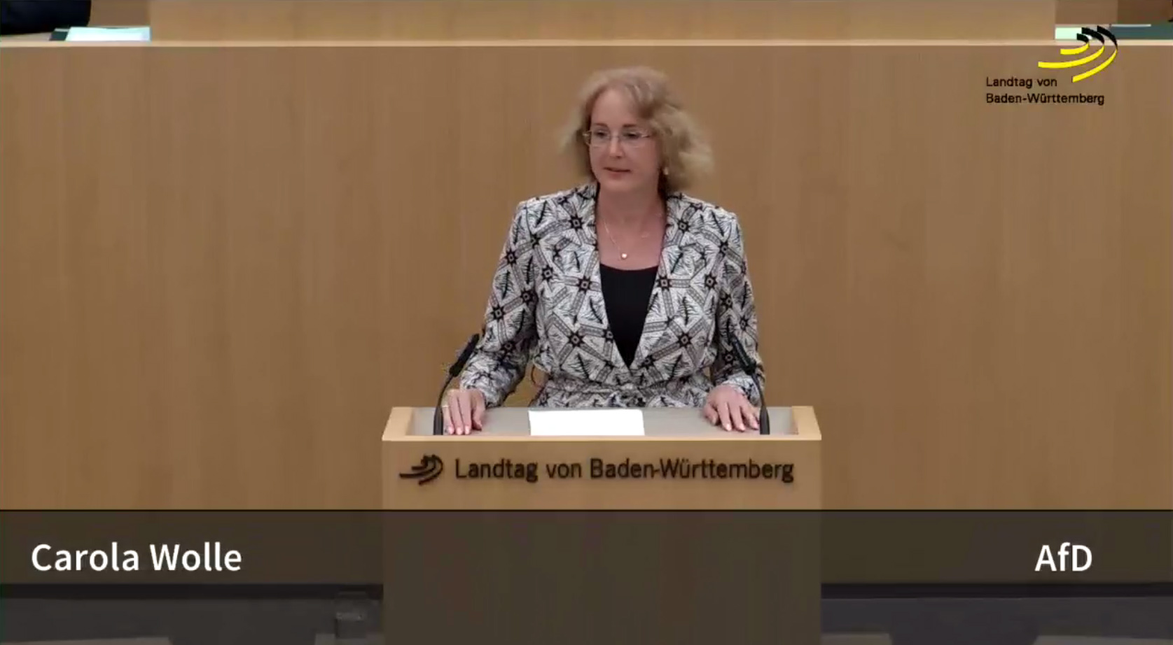 Landtagsrede gegen die Ehe für alle