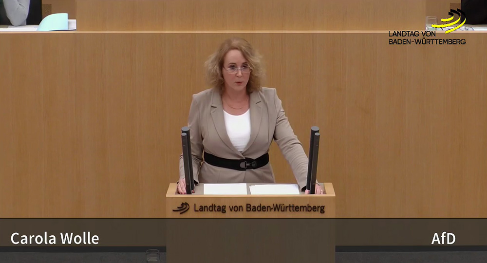 Landtagsrede zum Staatshaushaltsplan 18/19 zu Wirtschaft, Arbeit und Wohnungsbau