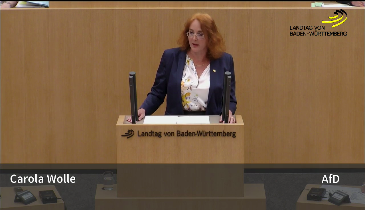 Landtagsrede zu Kinderehen