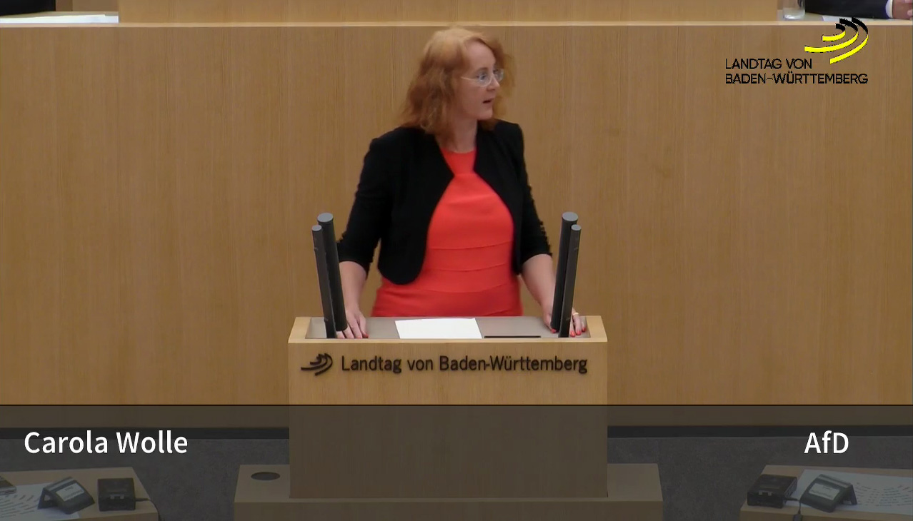 Carola Wolle: von Steuergerechtigkeit sind wir weit entfernt!