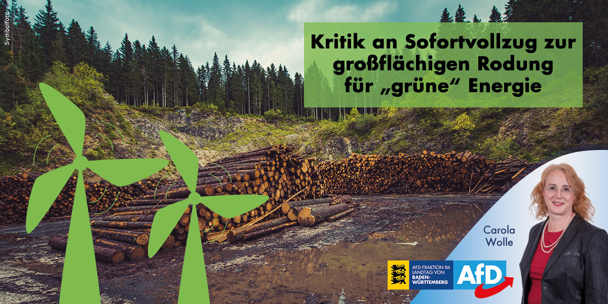 Kritik an Sofortvollzug zur großflächigen Rodung für Windkraftanlagen