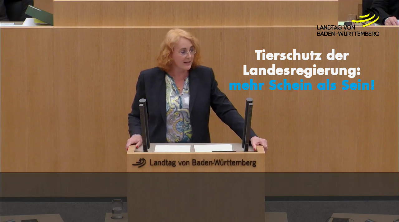 Tierschutz der Landesregierung: mehr Schein als Sein!