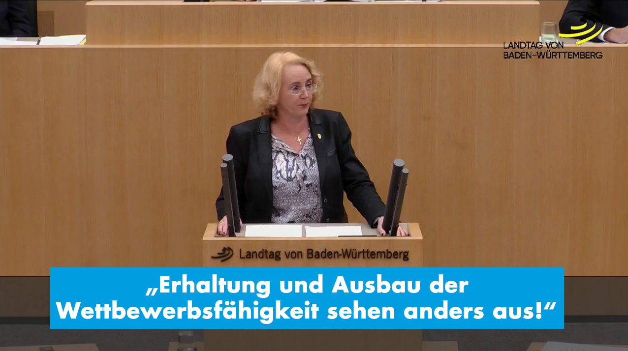 Haushalt 2020: Desaströse Politik beeinträchtigt wirtschaftliches Handeln