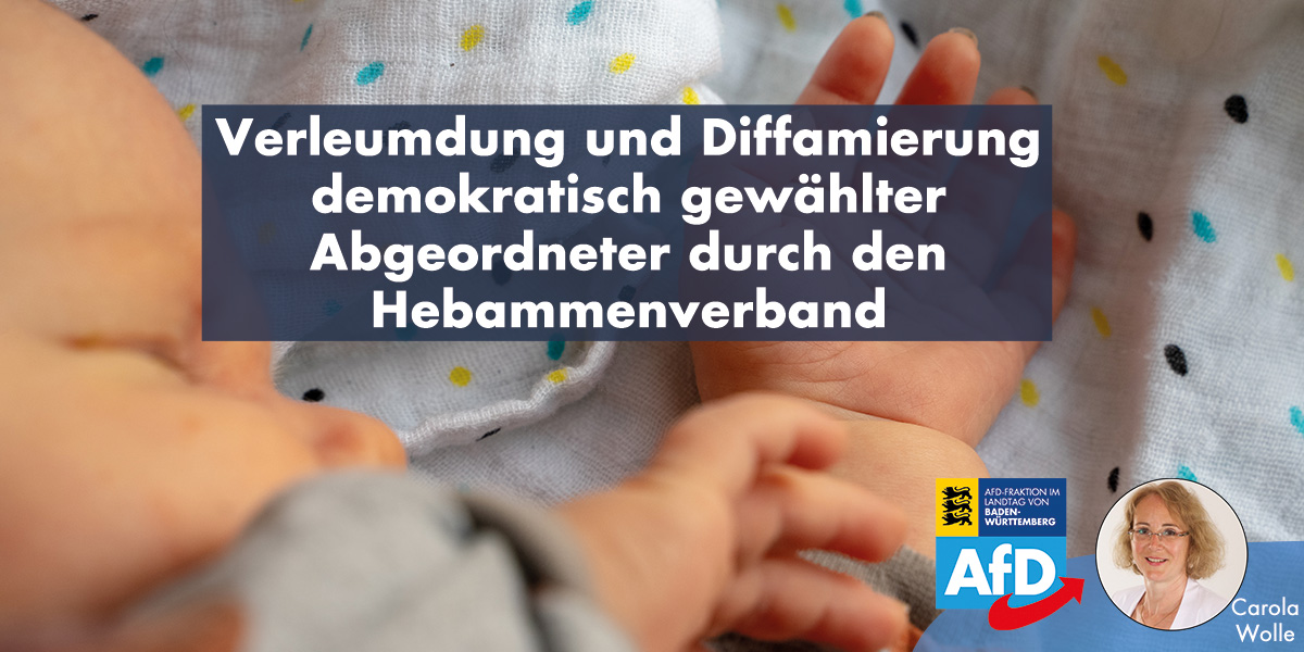 Verleumdung und Diffamierung demokratisch gewählter Abgeordneter durch den Hebammenverband