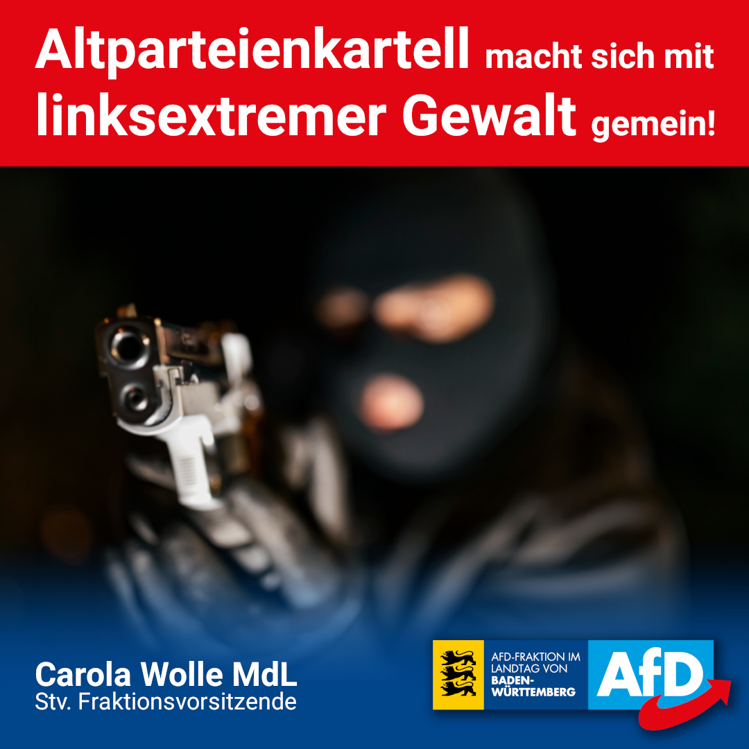 Carola Wolle: Altparteienkartell macht sich mit linksextremer Gewalt gemein