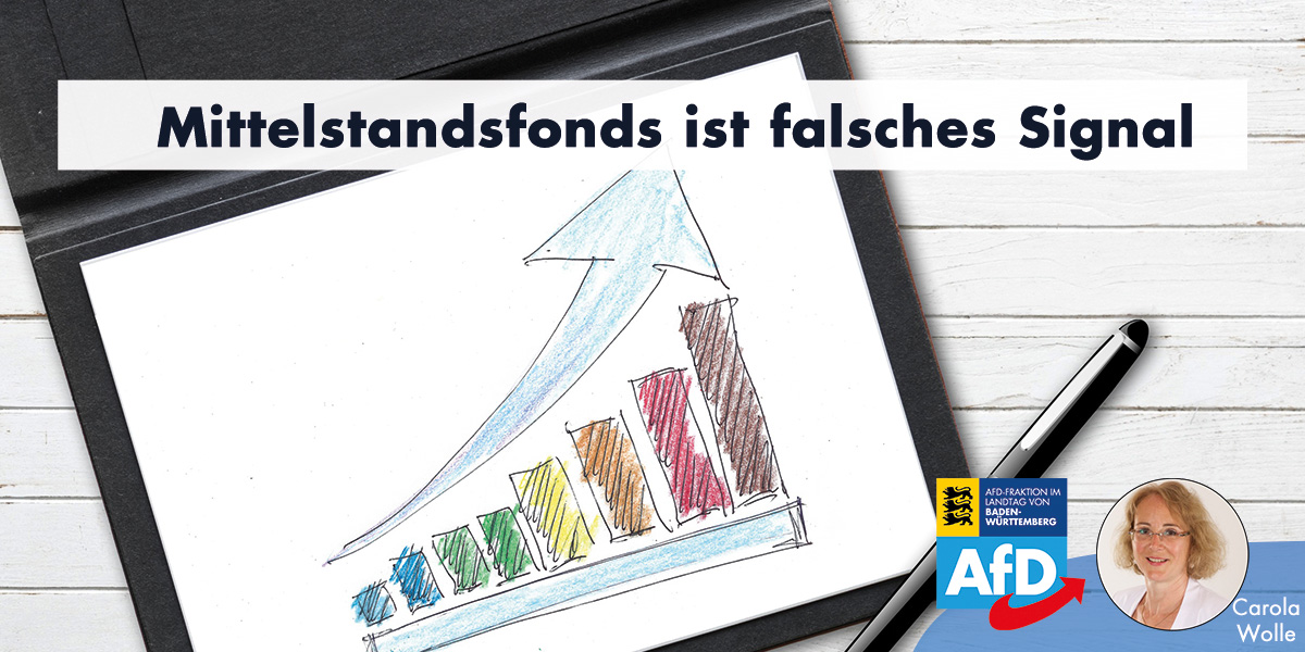 Carola Wolle MdL: Mittelstandsfonds ist falsches Signal