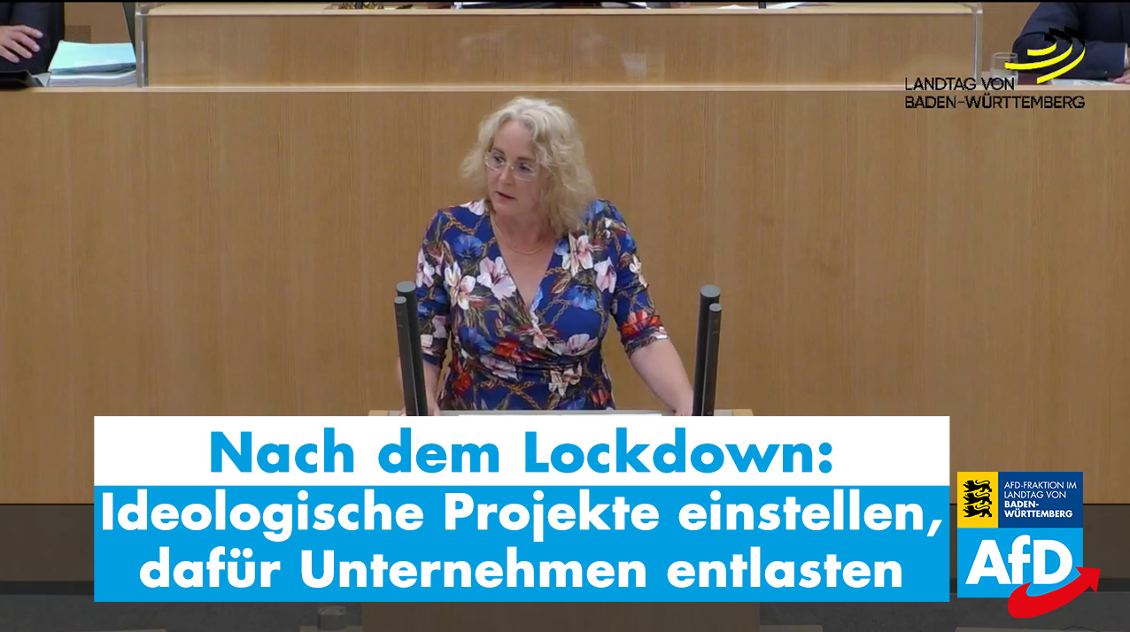 Landtagsrede zu den Problemen der Wirtschaft wegen des Corona-Lockdowns