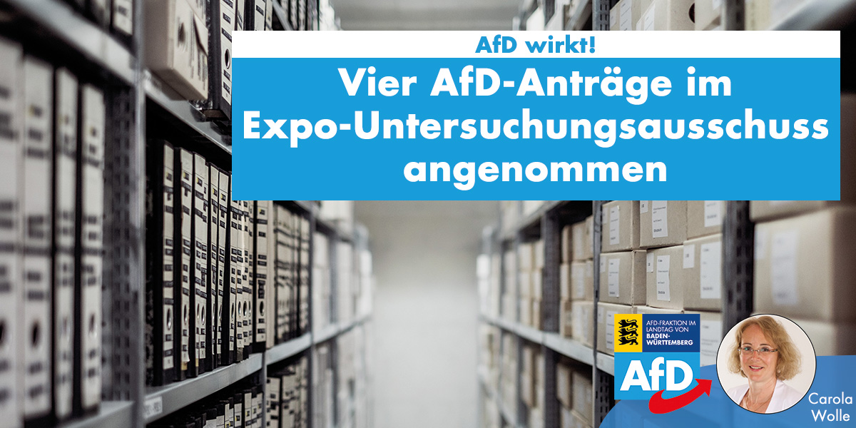 Carola Wolle: Vier AfD-Anträge im Expo-Untersuchungsausschuss angenommen