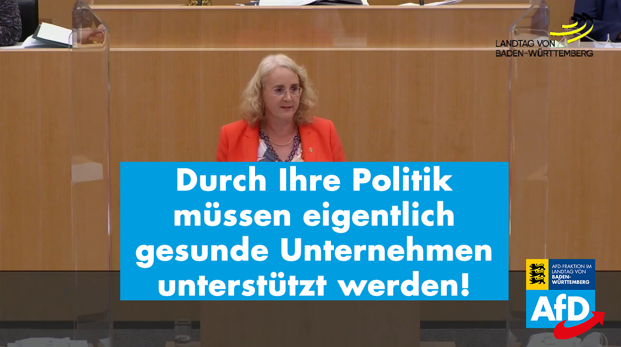 Landtagsrede: Carola Wolle gegen einen intransparenten Beteiligungsfonds