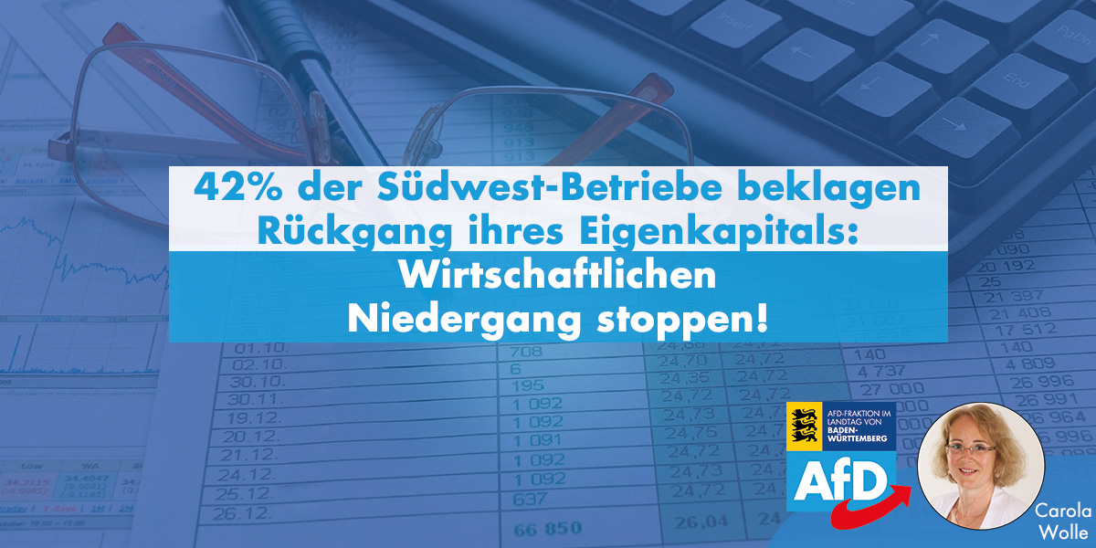 Carola Wolle: Wirtschaftlichen Niedergang im Südwesten stoppen