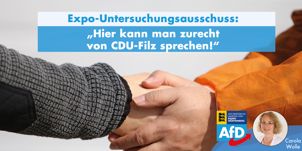 AfD fordert weiteren Untersuchungsausschuss ein