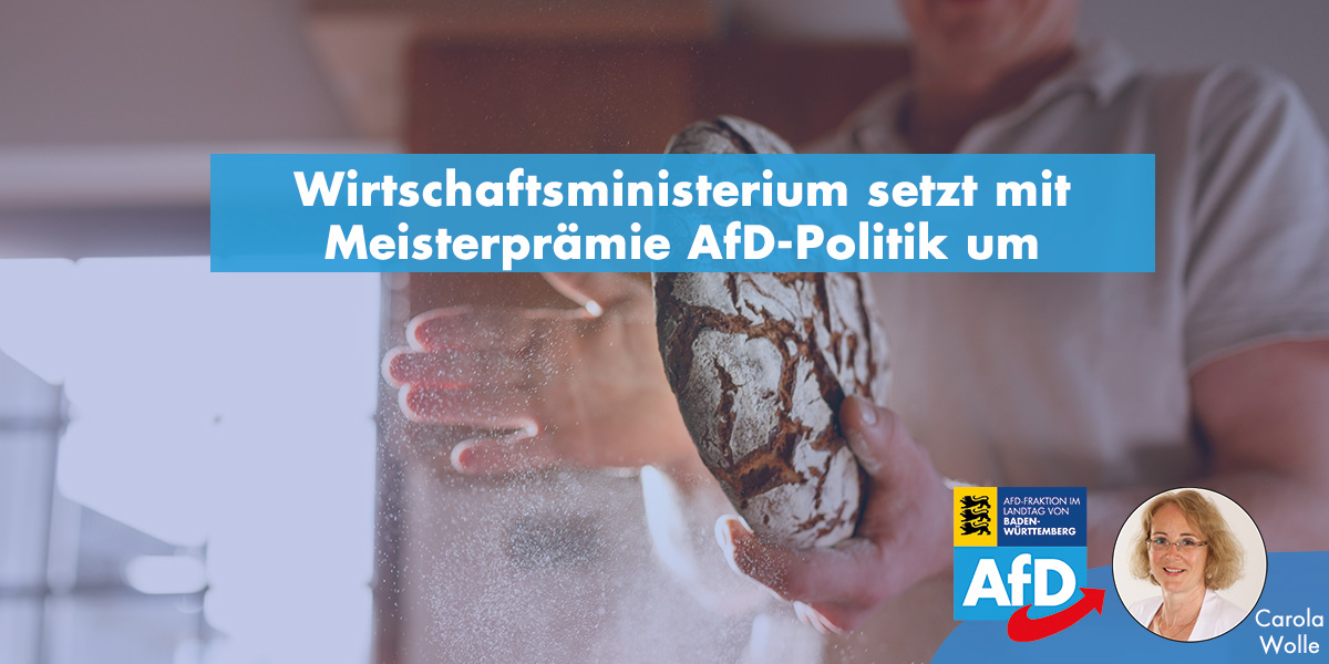 Carola Wolle: Wirtschaftsministerium setzt mit Meisterprämie AfD-Politik um