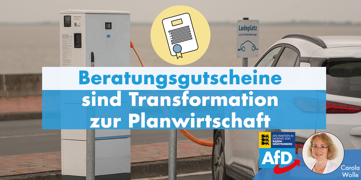 Carola Wolle: Beratungsgutscheine sind Transformation zur Planwirtschaft