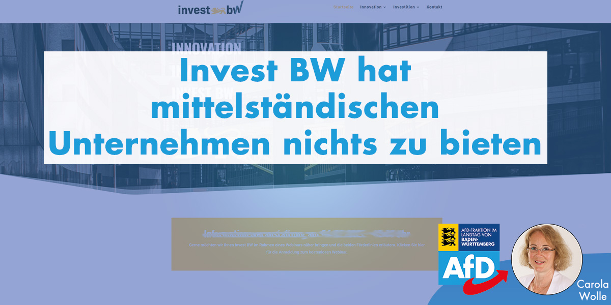 Carola Wolle: Invest BW hat mittelständischen Unternehmen nichts zu bieten