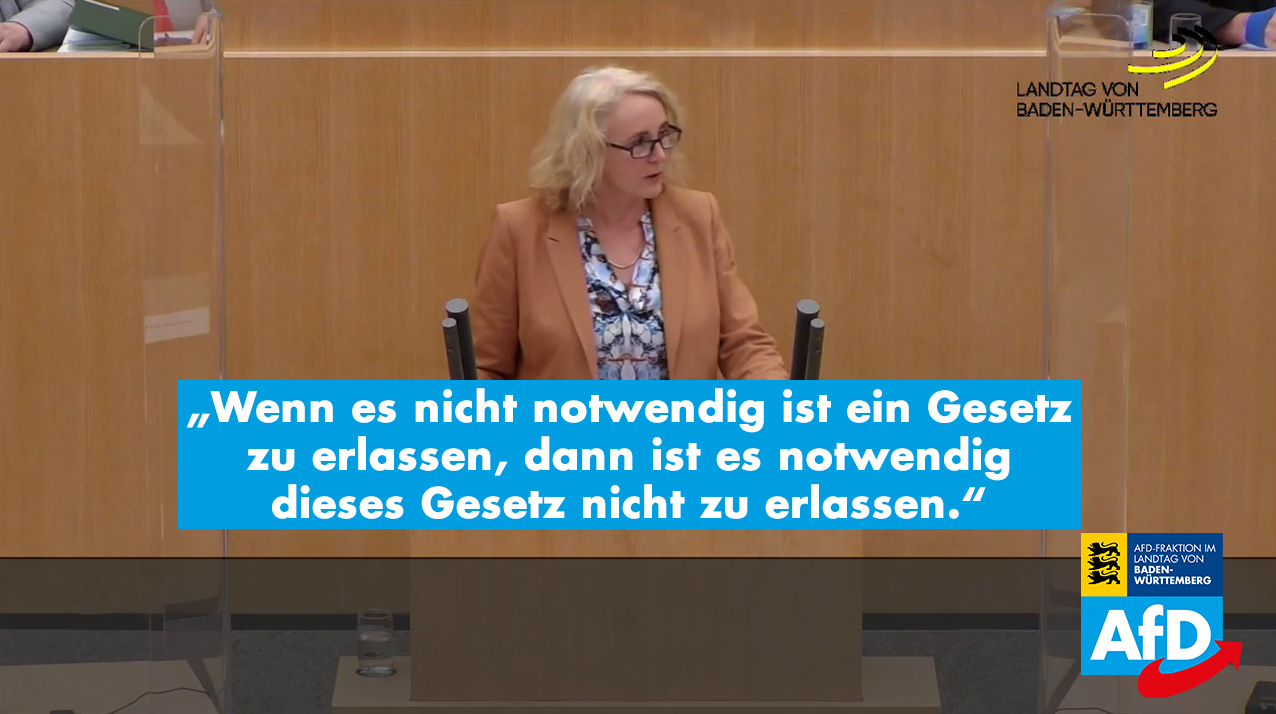 Plenarrede von Carola Wolle zur Änderung des Tariftreue- und Mindestlohngesetzes für öffentliche Aufträge