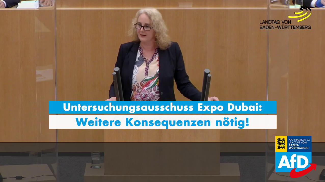 Carola Wolle zum Ende des Untersuchungsausschusses Expo Dubai
