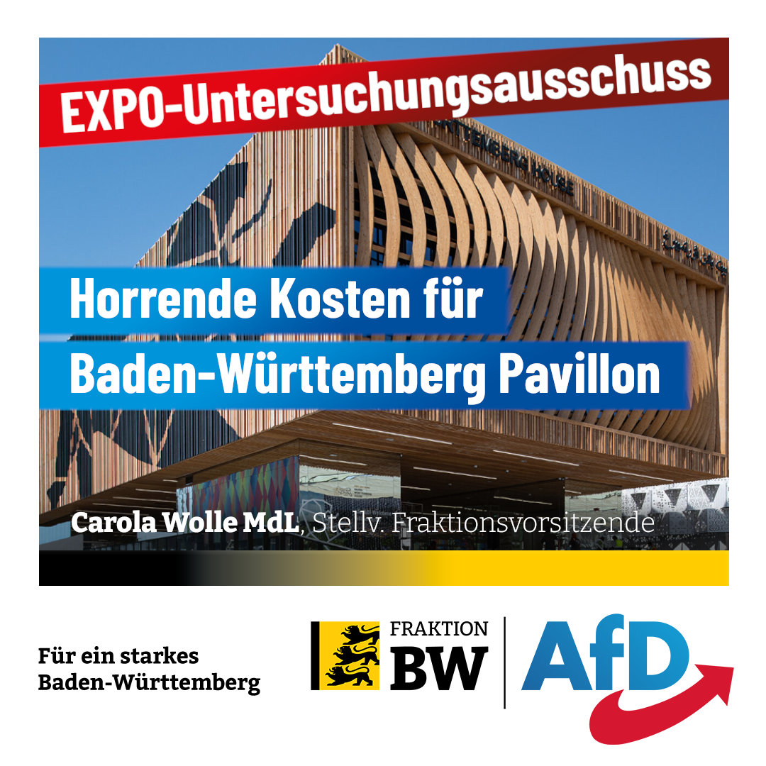 Carola Wolle: EXPO in Dubai zu schade für parteitaktische Spiele