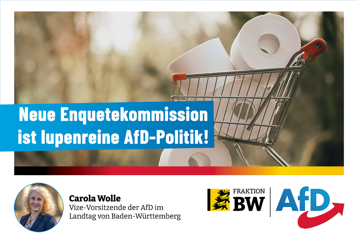 Carola Wolle: Enquetekommission ist lupenreine AfD-Politik