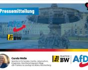 Pressemitteilungen der Landtagsabgeordneten Carola Wolle