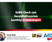 Carola Wolle zum BaWü-Check Gesundheitssystem: Armutszeugnis trifft leider zu!