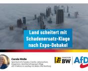 Carola Wolle: „Land scheitert mit Schadenersatz-Klage nach Expo-Debakel“