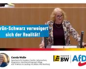 Carola Wolles Kritik zum Sozialhaushalt 2025/2026