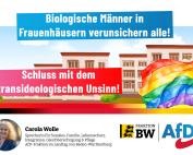 Carola Wolle: Frauenhaus Heidelberg vergisst Schutzauftrag!