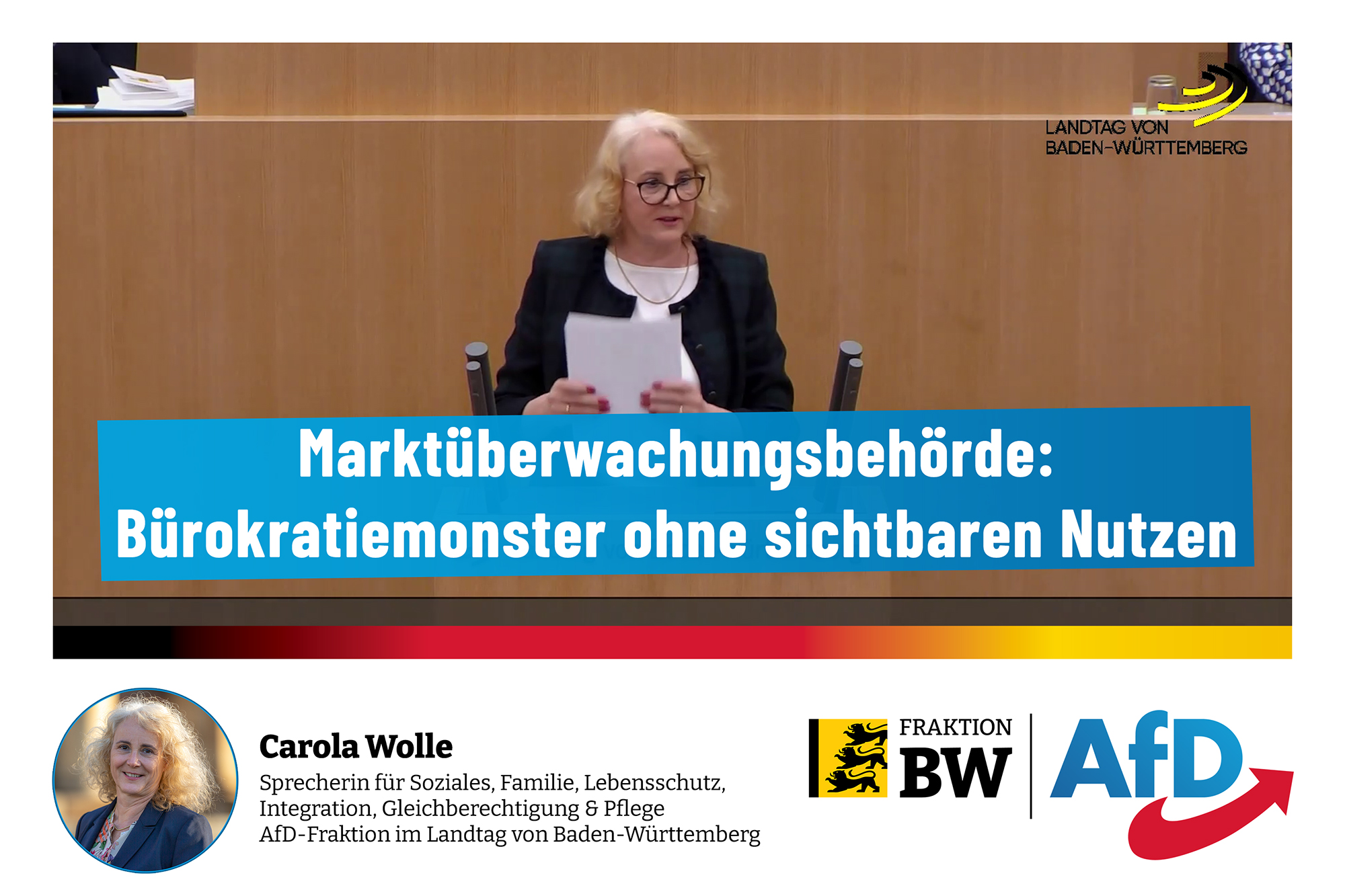 Carola Wolle zur Marktüberwachungsbehörde: Bürokratiemonster ohne sichtbaren Nutzen